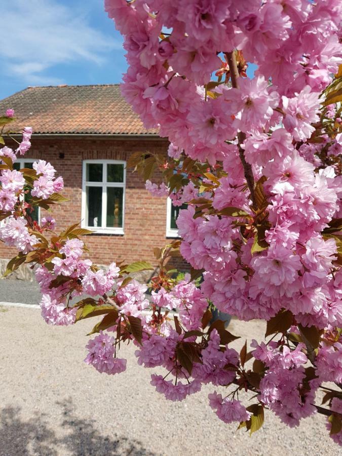 Horlinge Guesthouse Finja エクステリア 写真